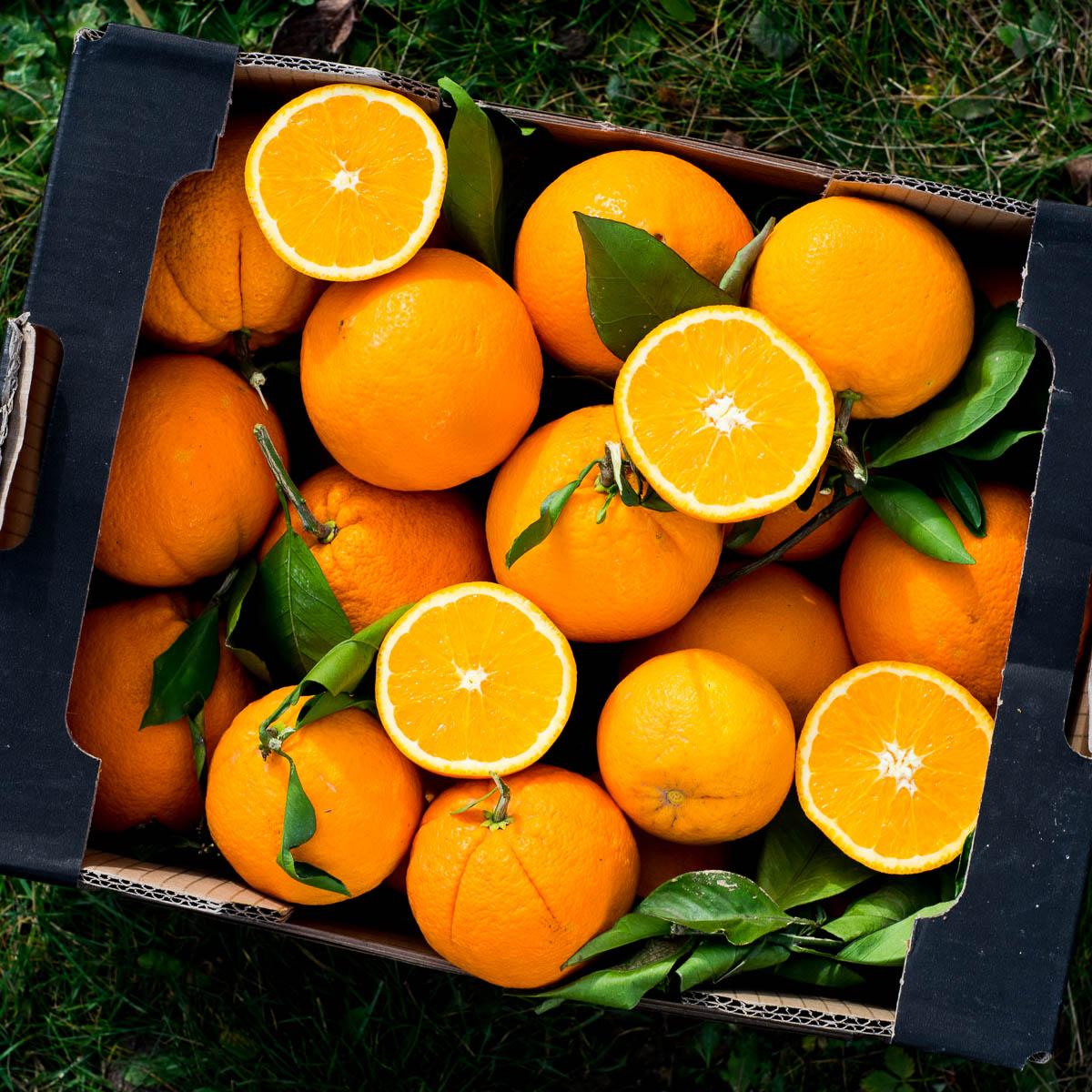 Orange Navelina