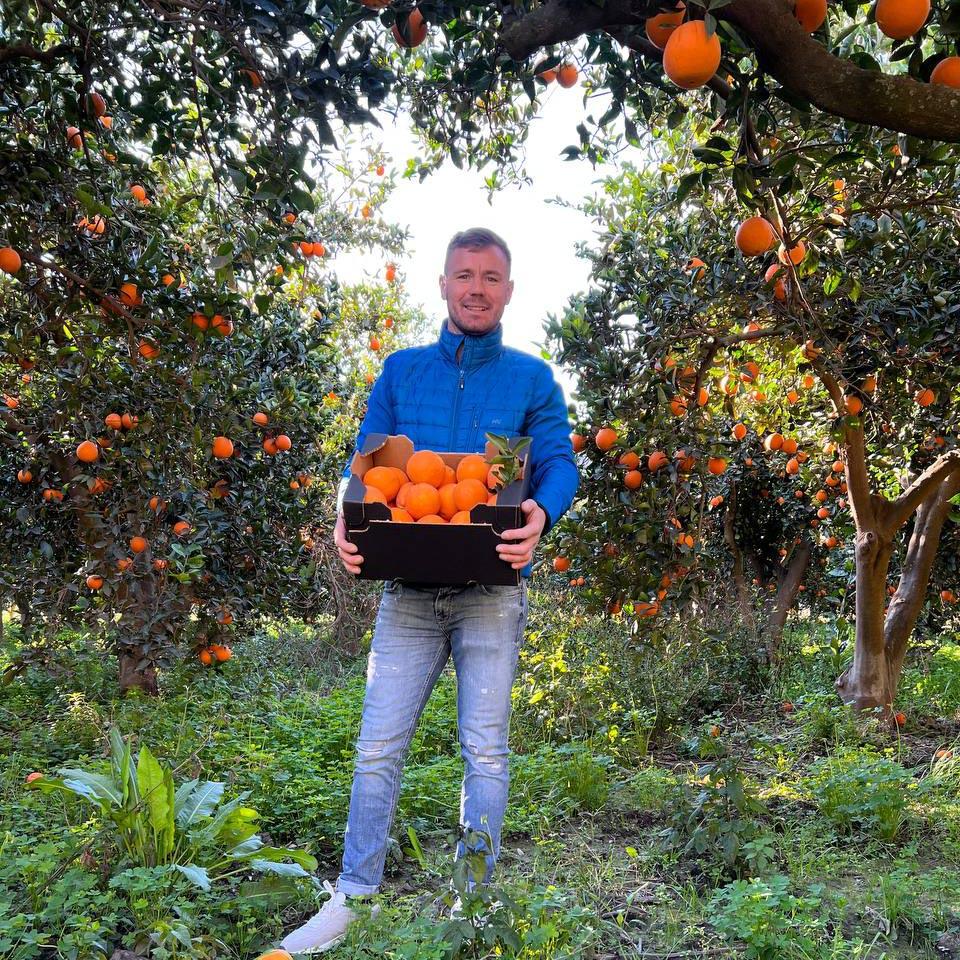 Orange Navelina