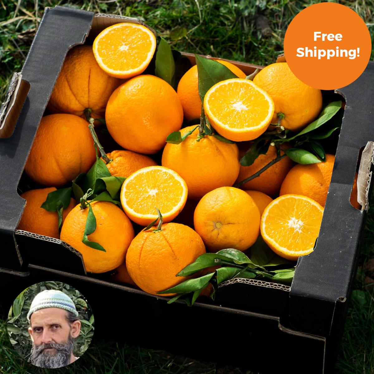 Orange Navelina