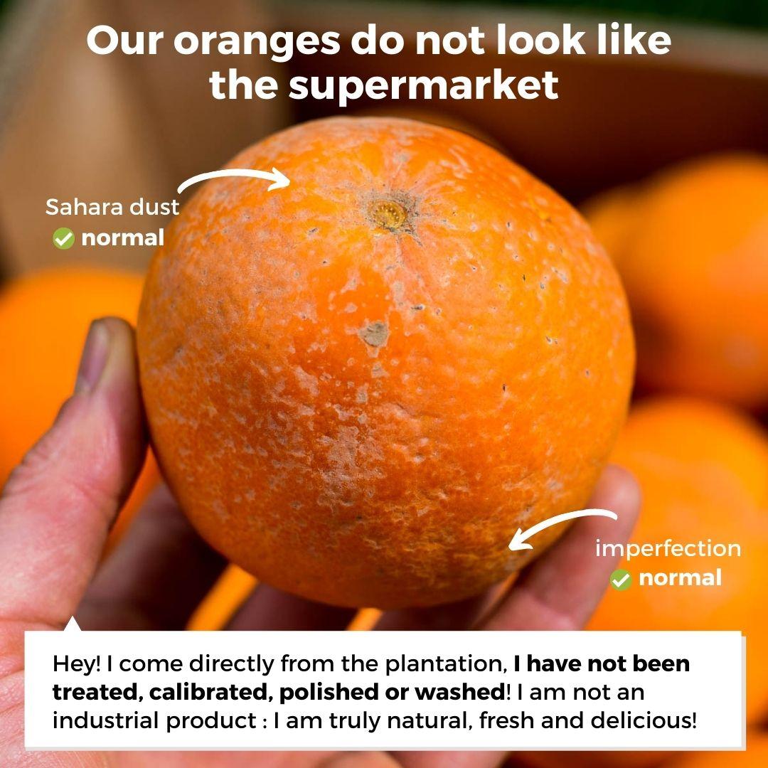 Orange Navelina