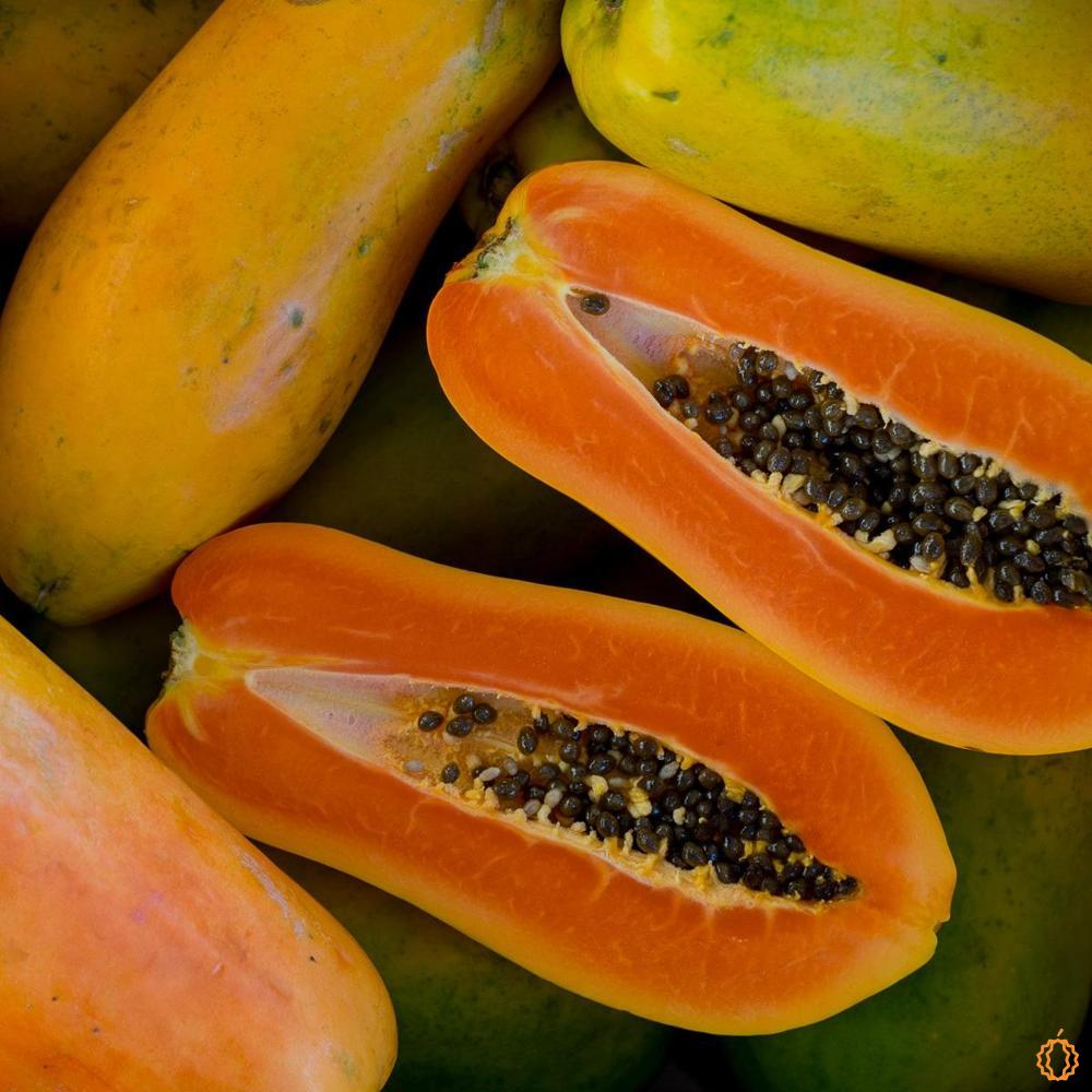 Papaya Nila