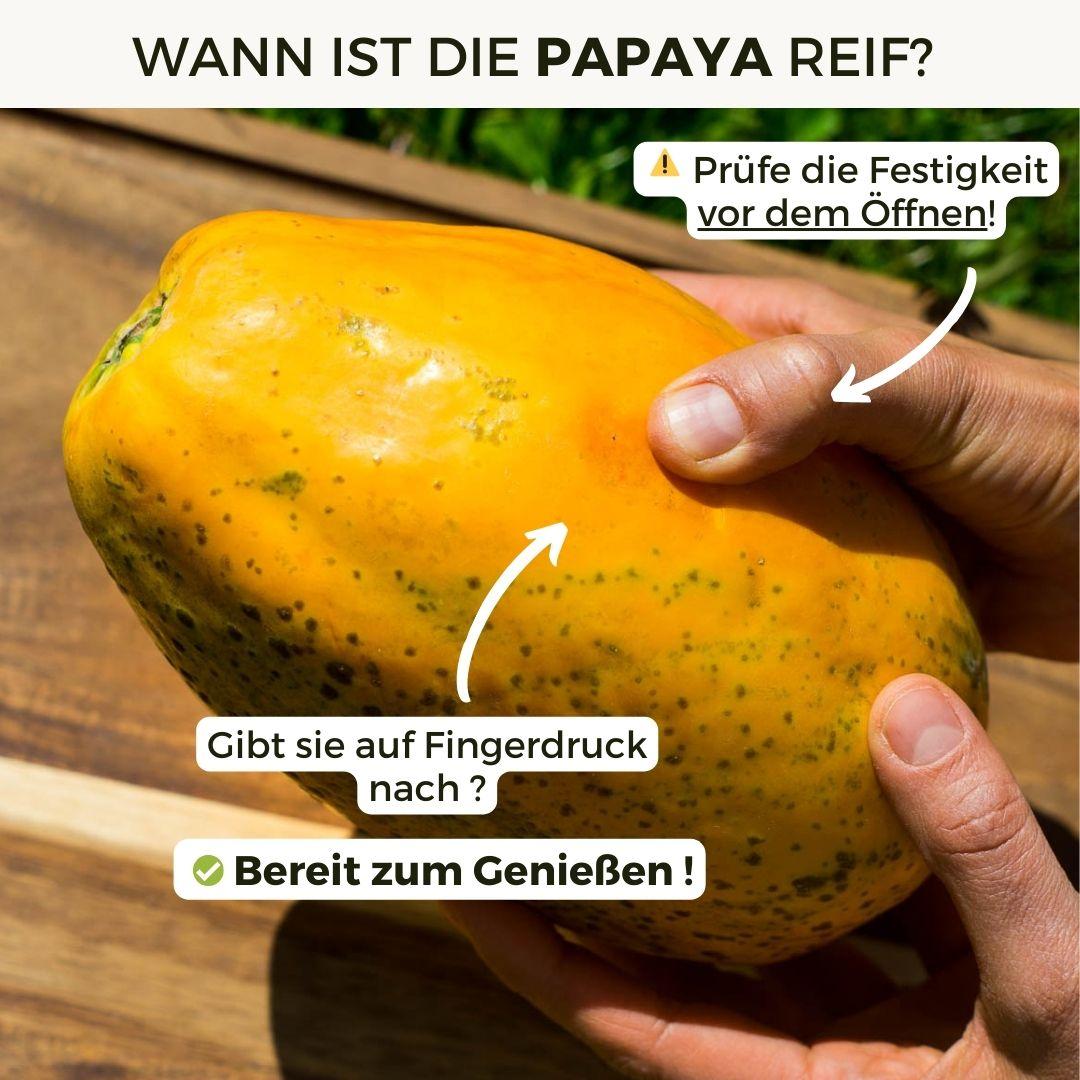 Papaya Golden