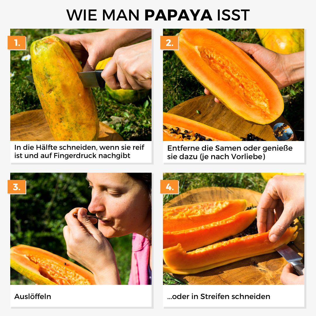 Papaya Golden