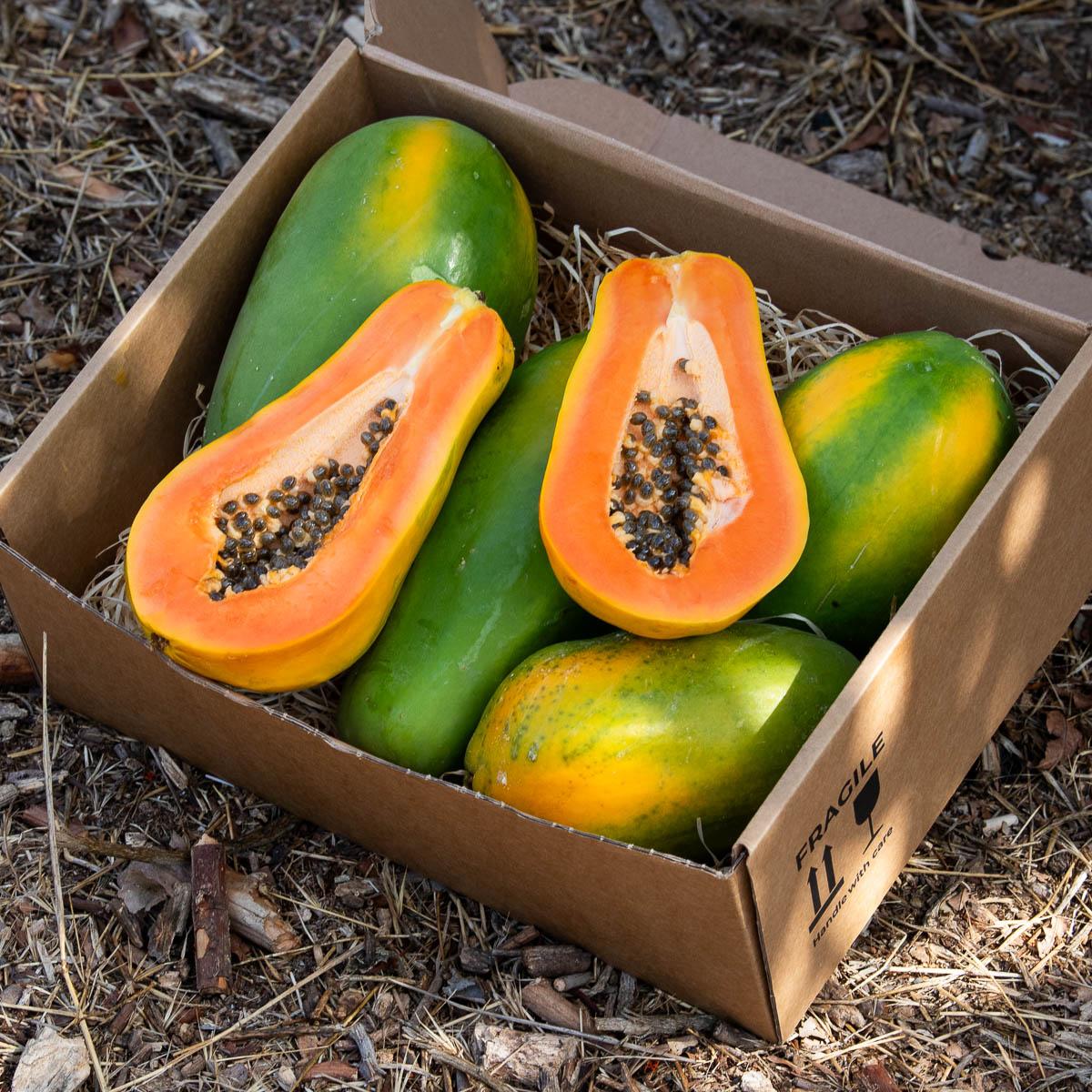 Papaya Sensation