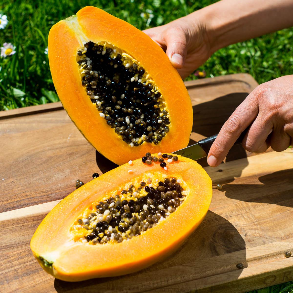 Papaya Sensation