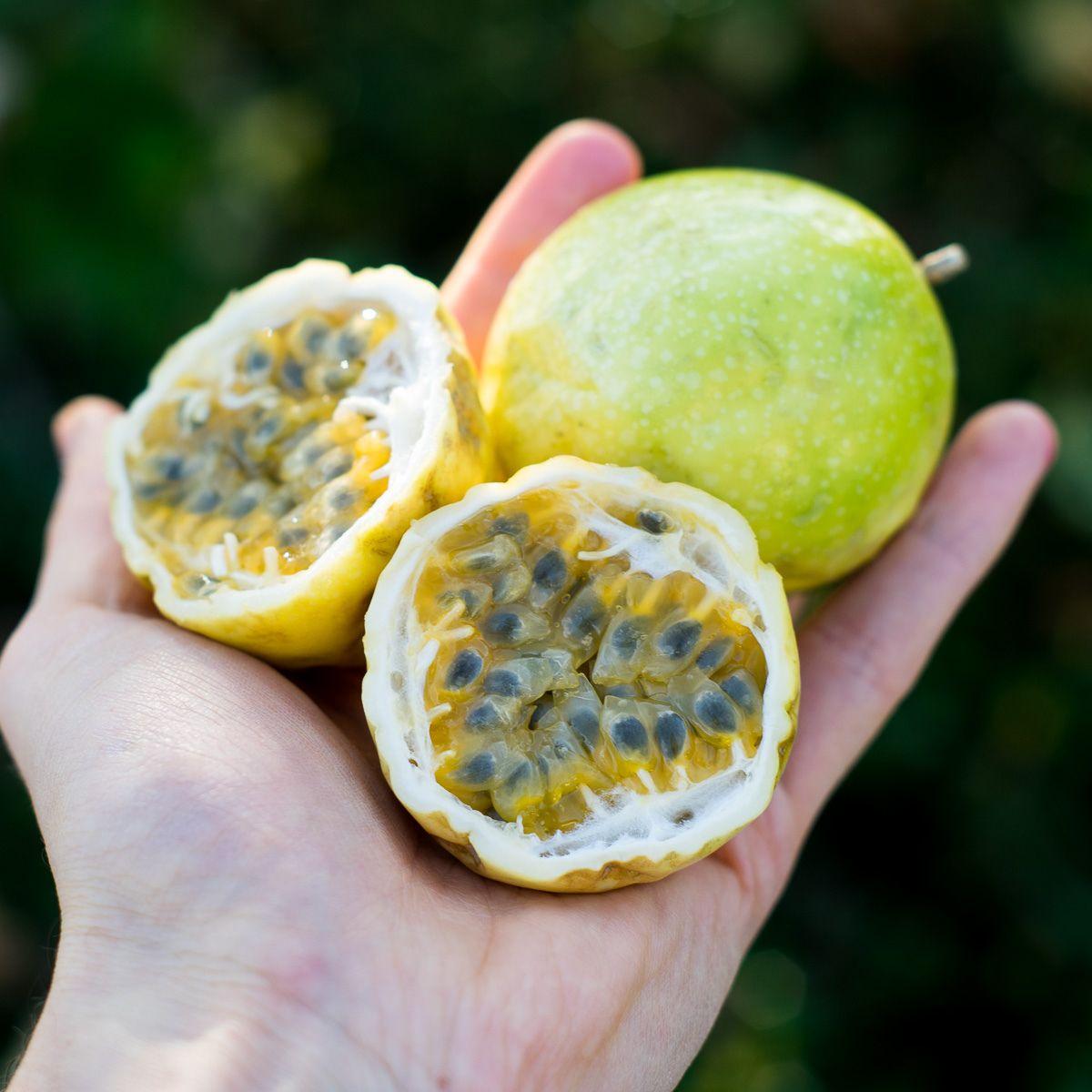 Passionfruit Yellow (maracuja)