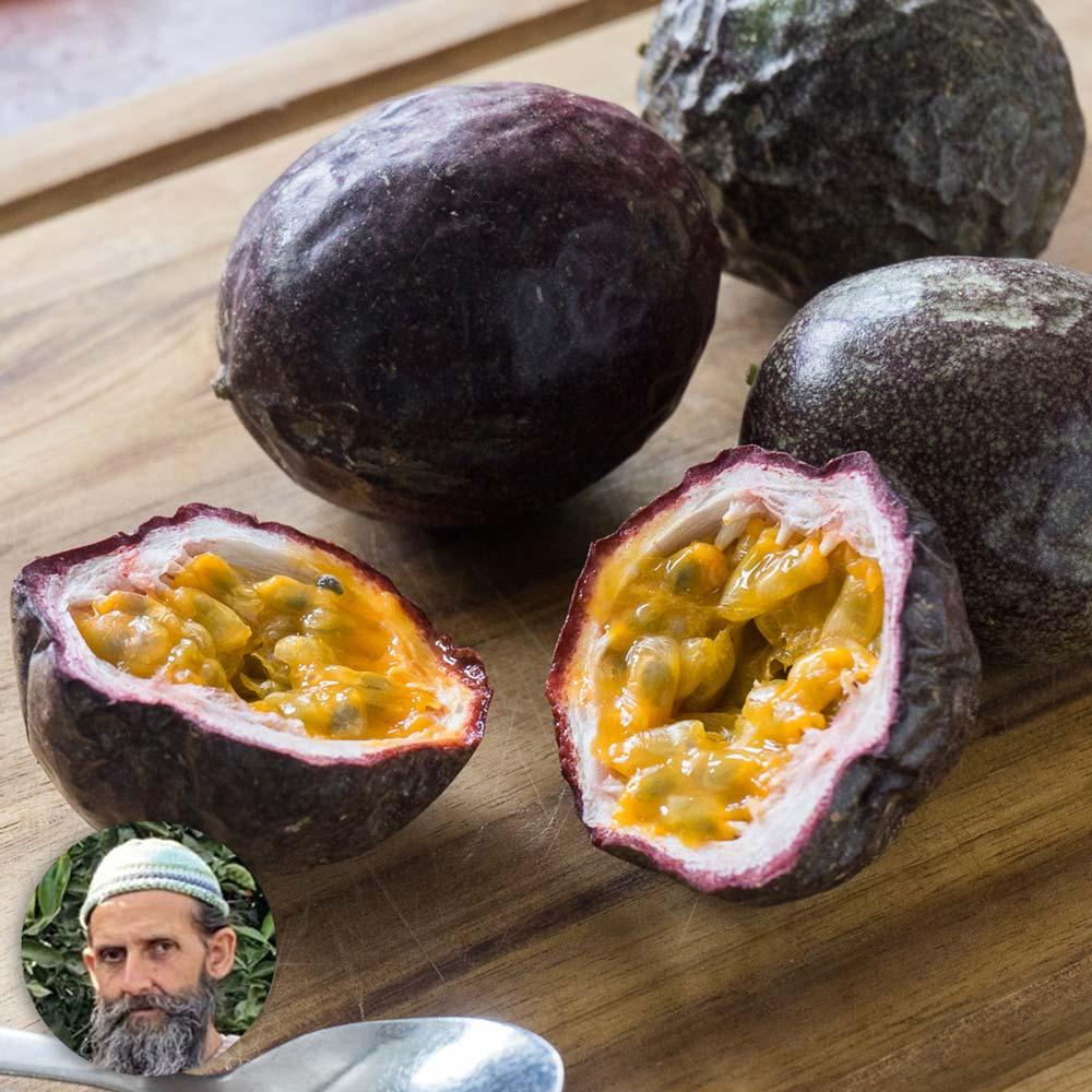 Passionfruit purple