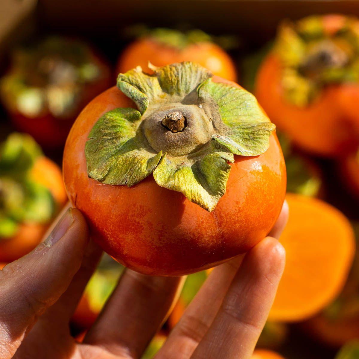 Kaki Apfel Fuyu