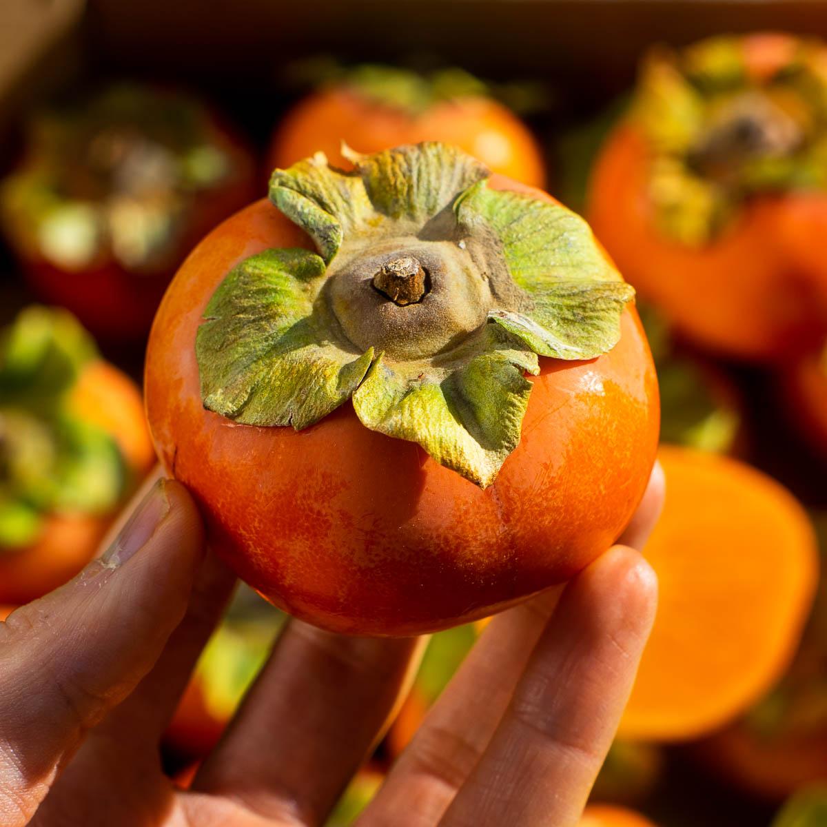 Kaki Apfel Fuyu