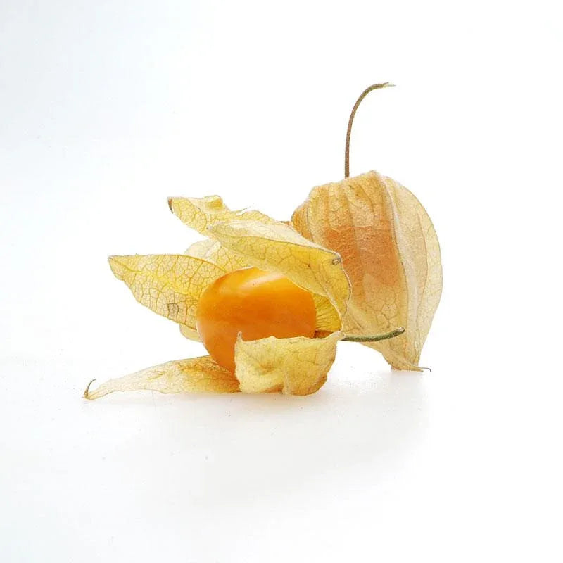Physalis Gold