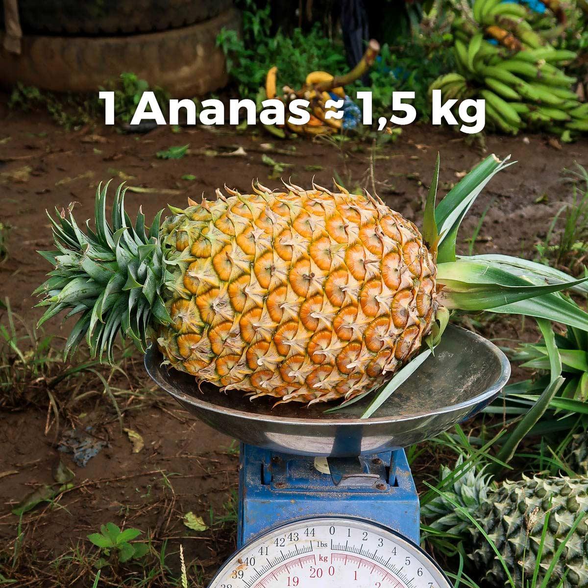 Ananas Cayenne