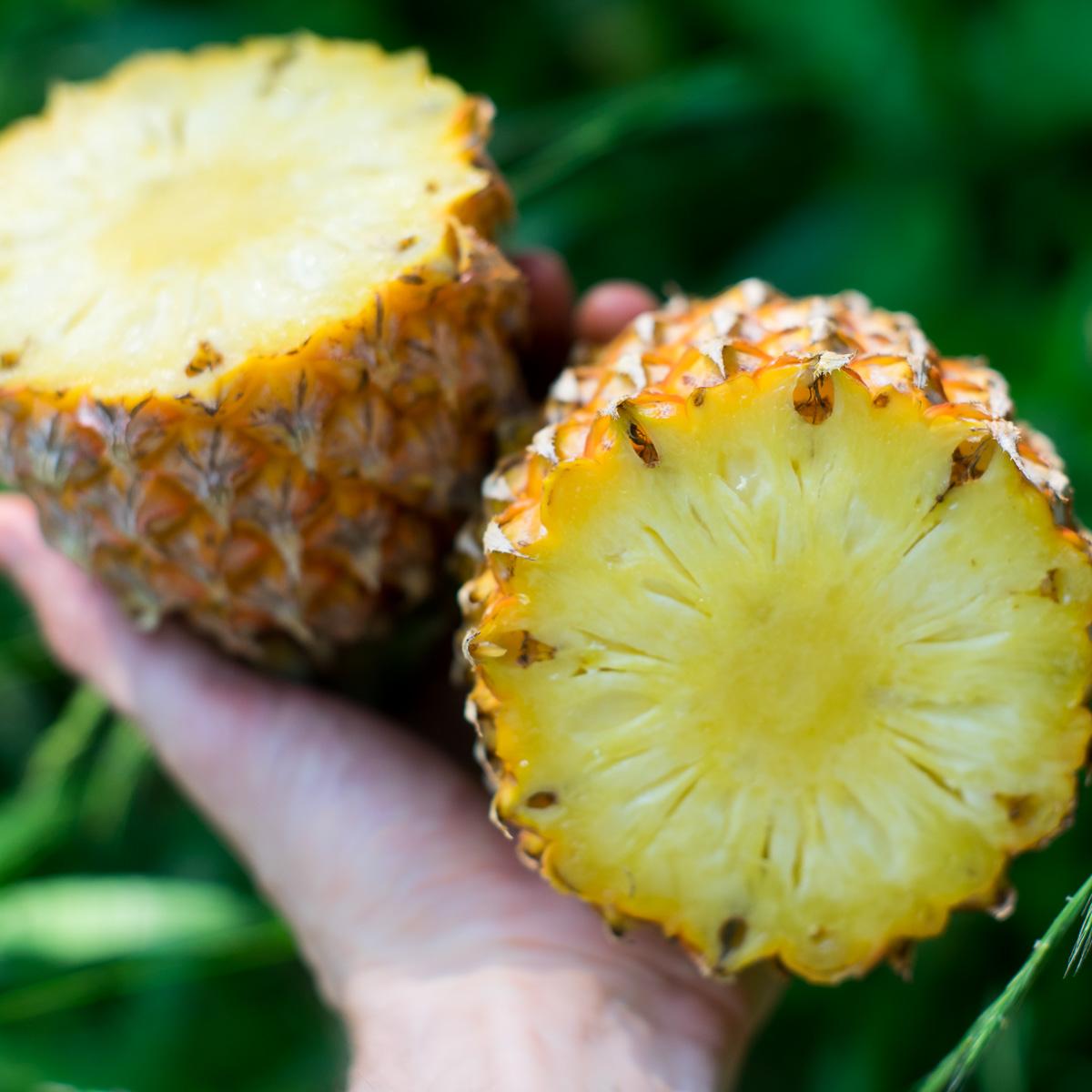Pineapple Victoria
