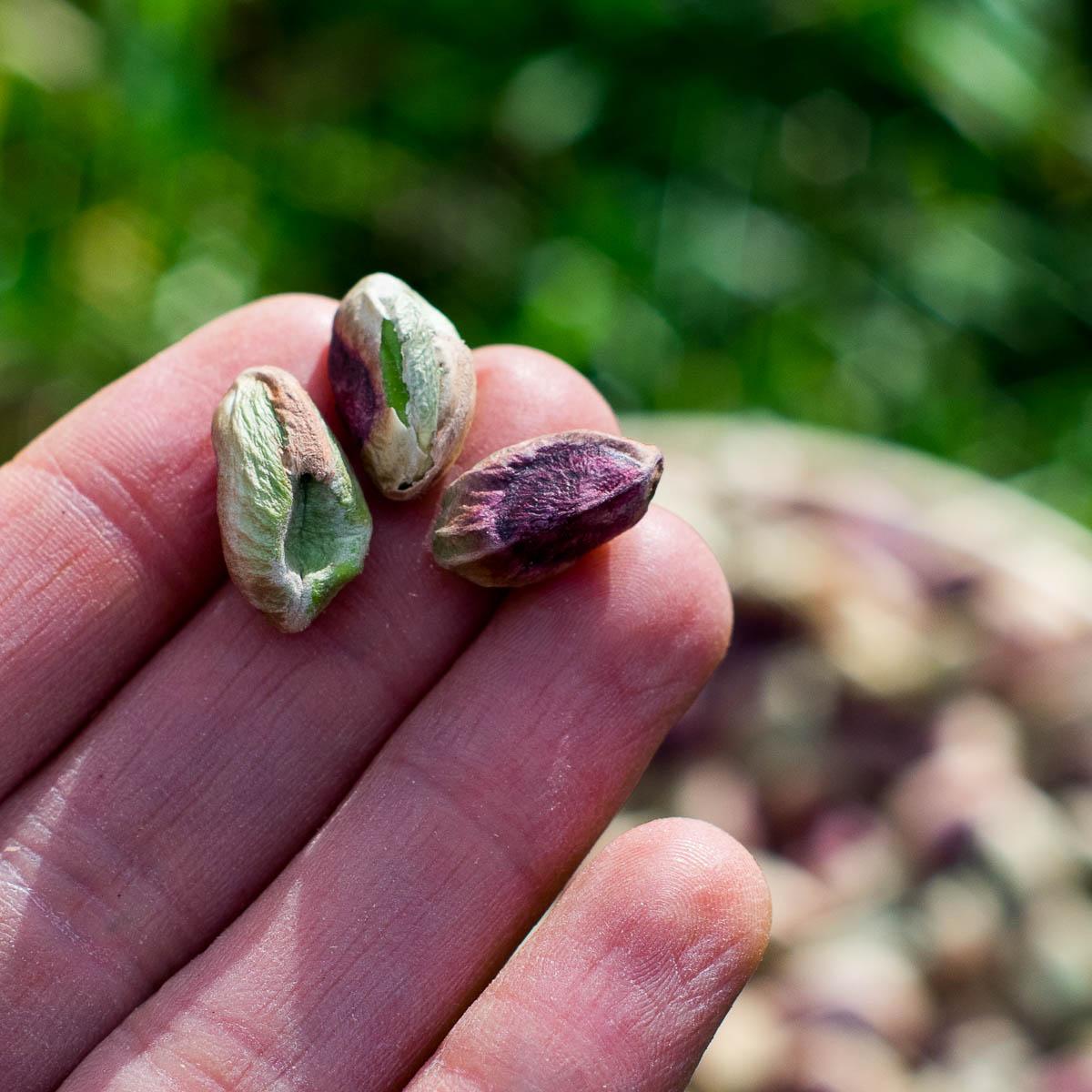 Pistachio peeled