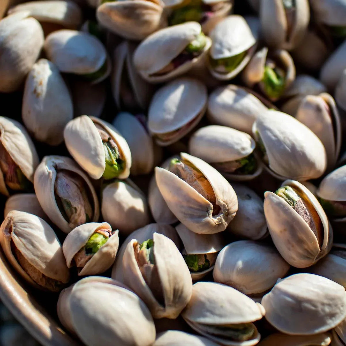 Pistazie mit Schale