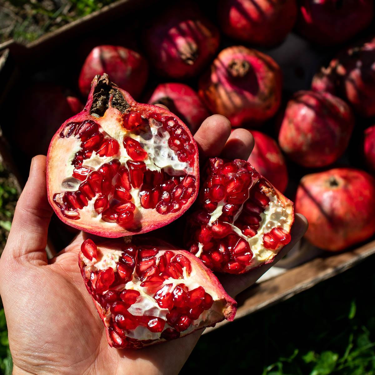 Granatapfel Ruby