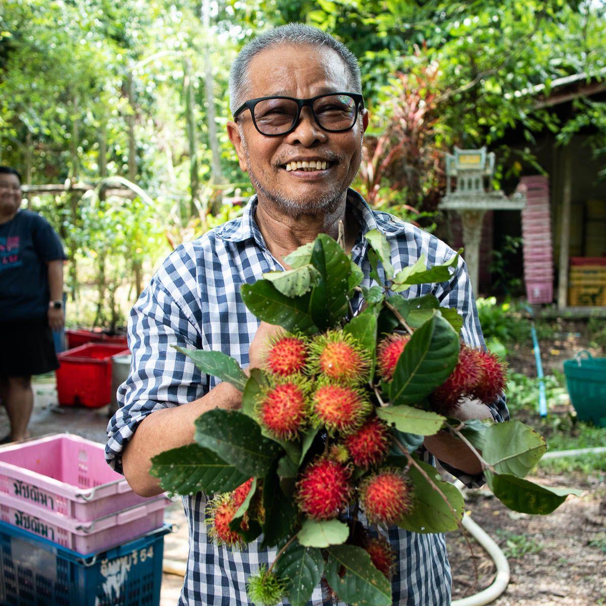 Rambutan