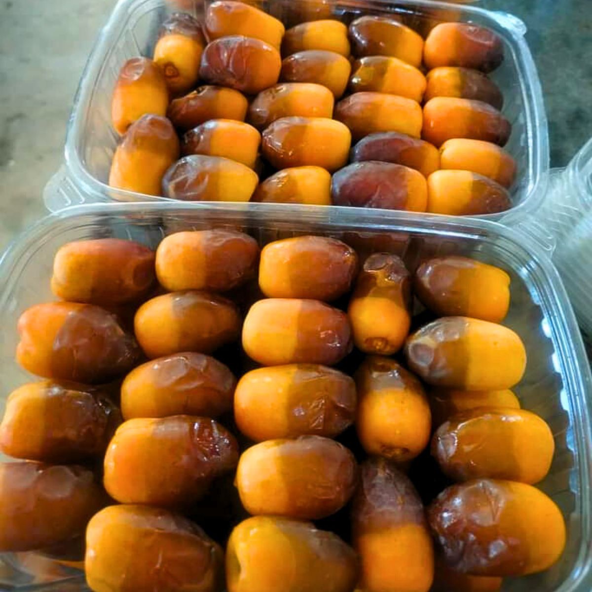 Date Saidi Gold Juicy Exclusive