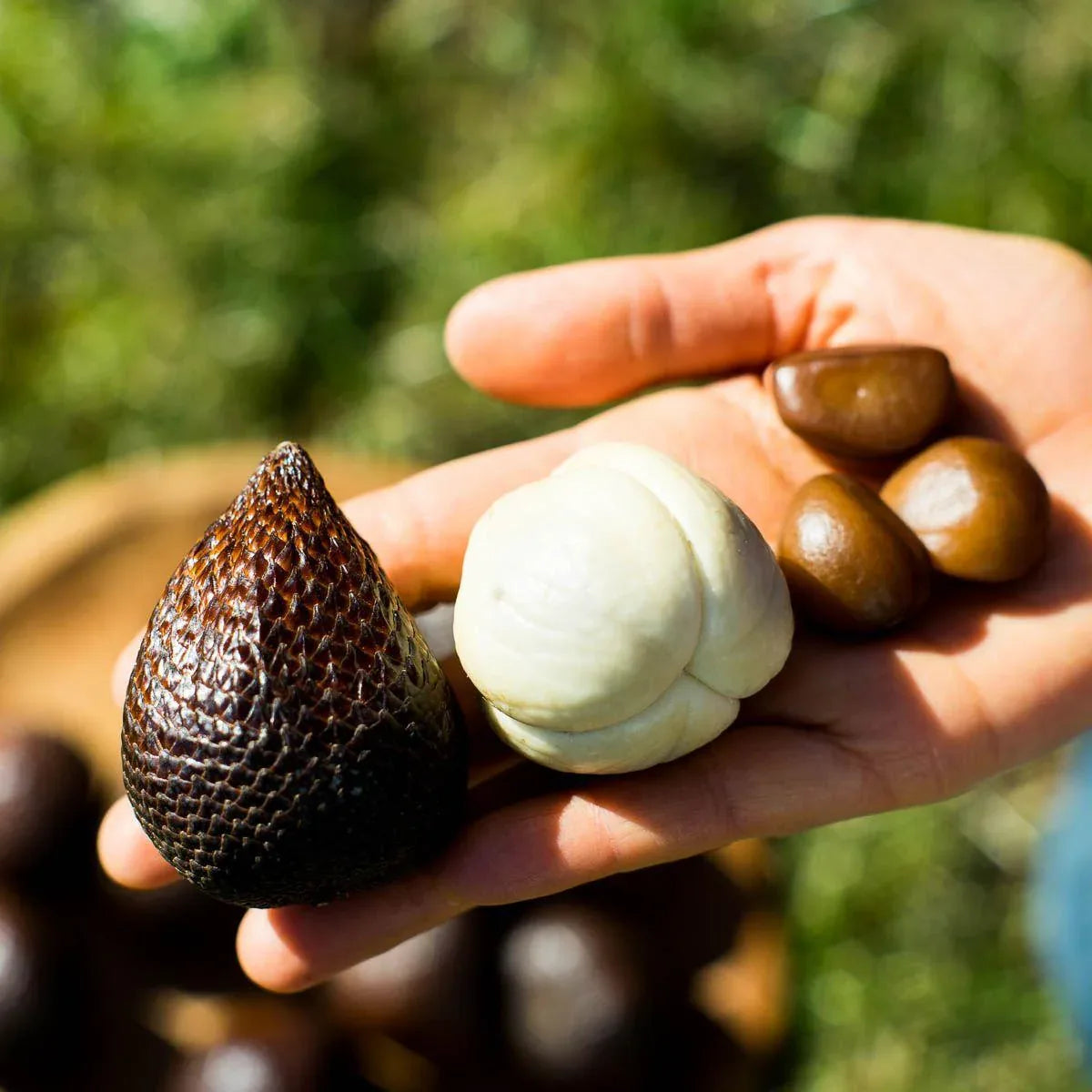 Box 4 kleine exquisite exotische Früchte