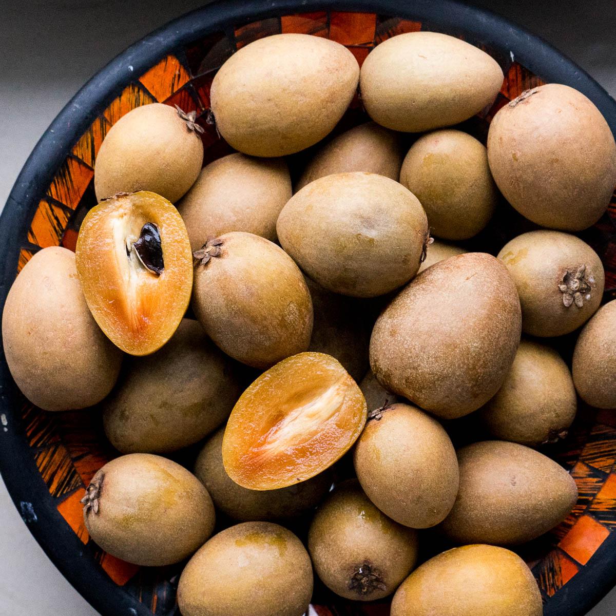 Sapodilla Malay