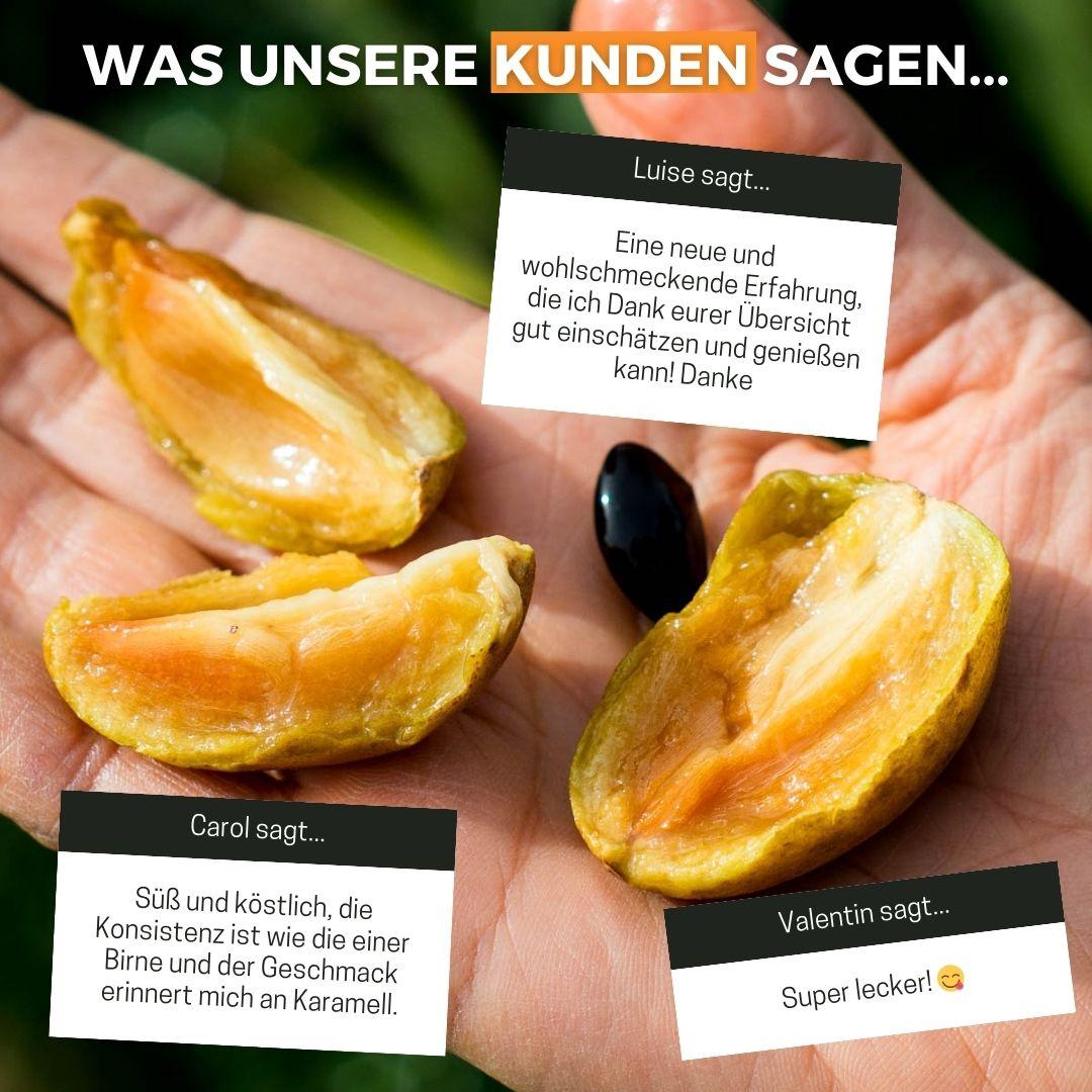 Sapodilla Malay