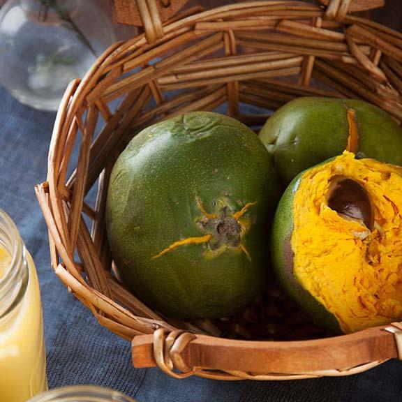 Sapote Lucuma