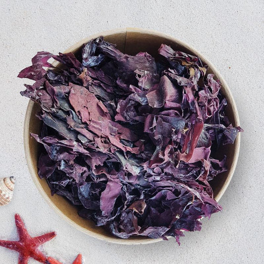 Seaweed Dulse dried