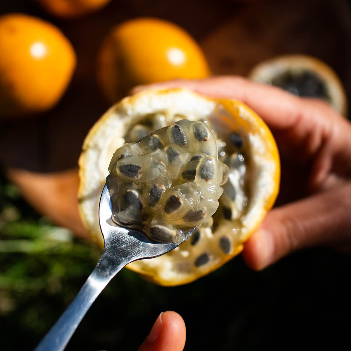 Süße Granadilla