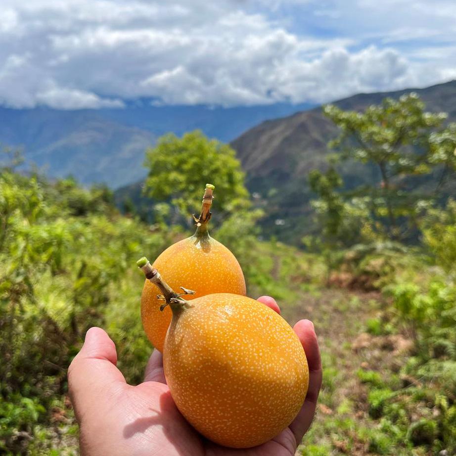 Süße Granadilla