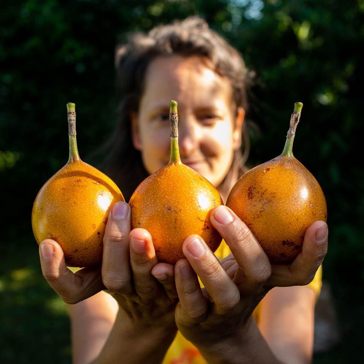 Süße Granadilla