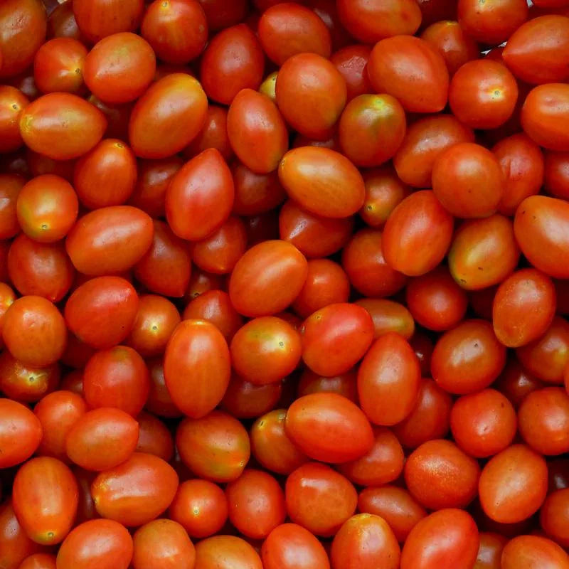 Kirschtomate Roma