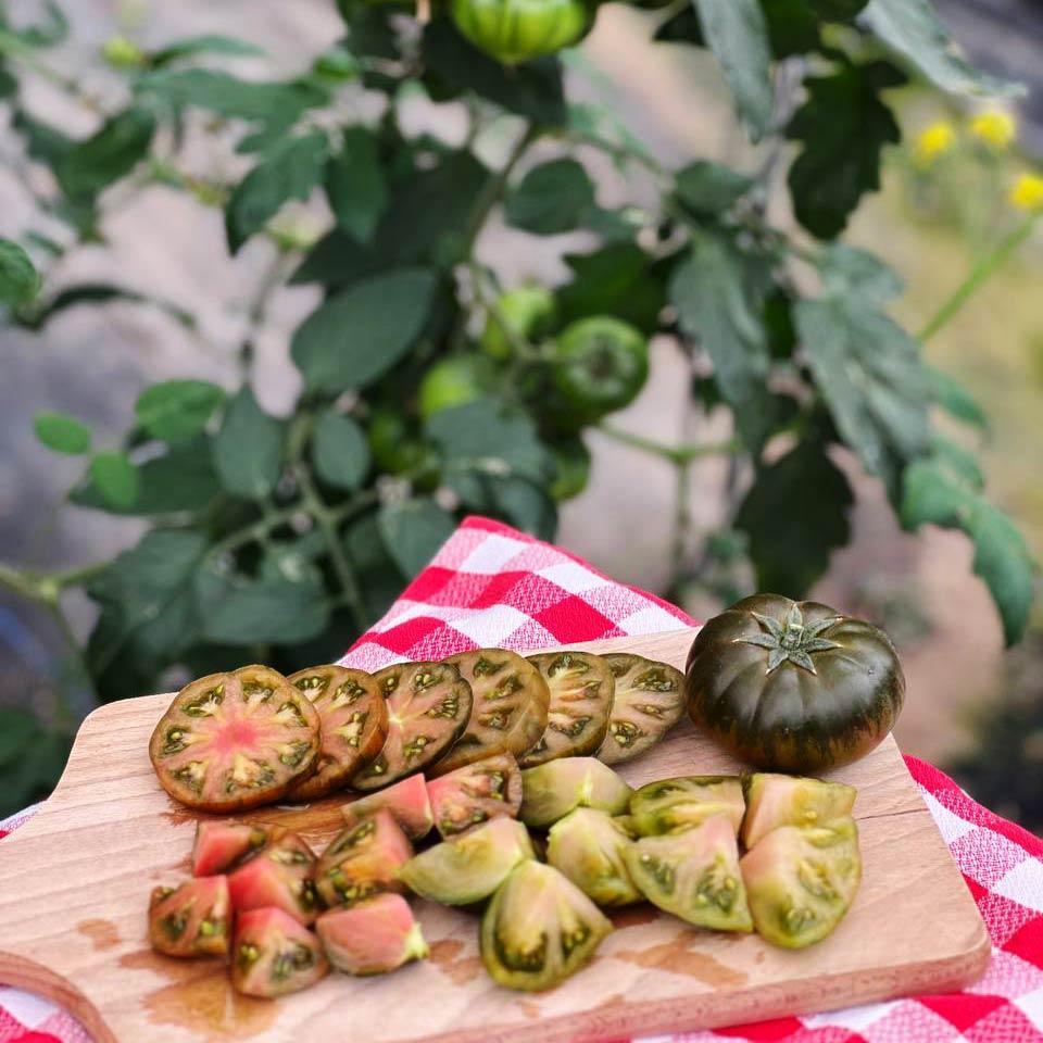 Tomate Raf Primora