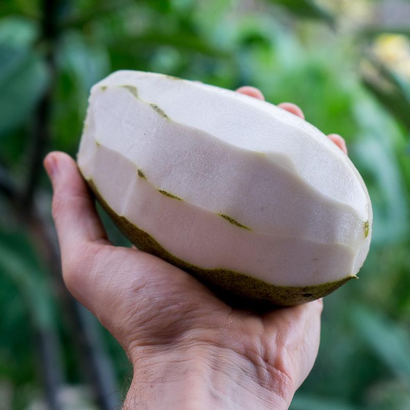Wani weiße Mango