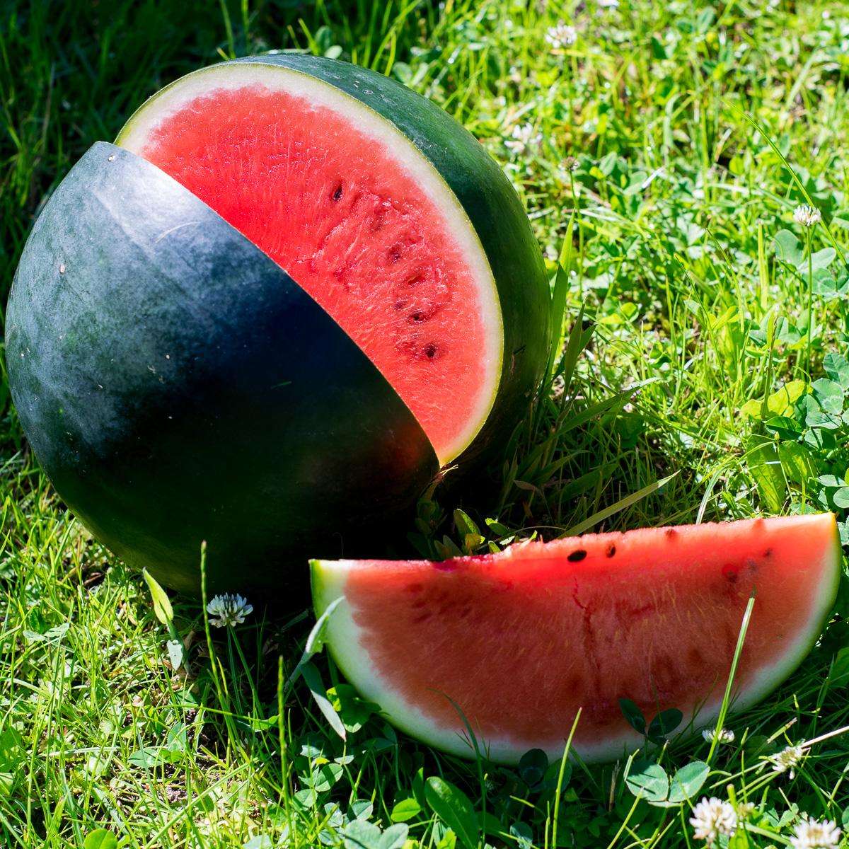 Wassermelone