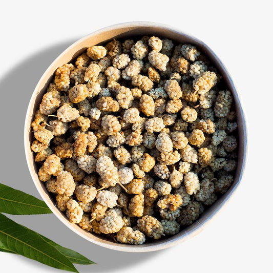 White Mulberry dried