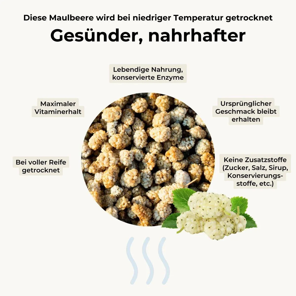 Maulbeere weiß getrocknet