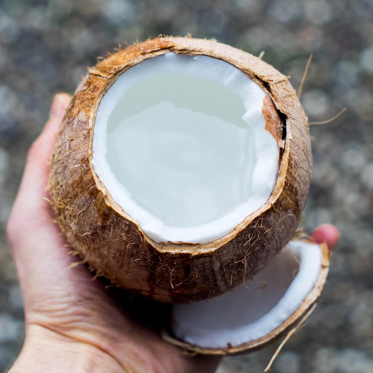 Young Coconut