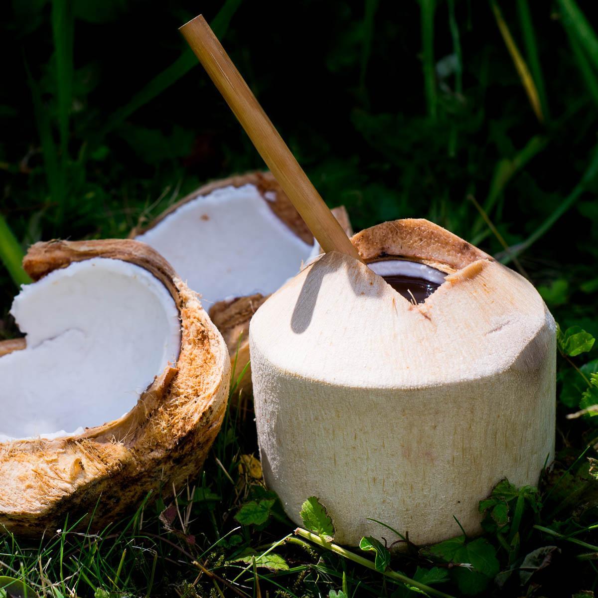 Coconuts