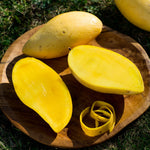All fruits