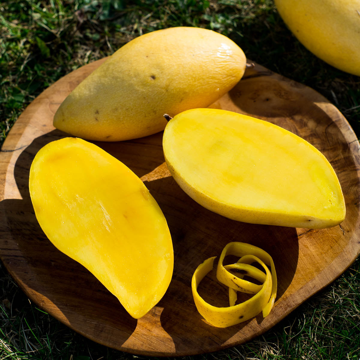 Exotic Fruits in season