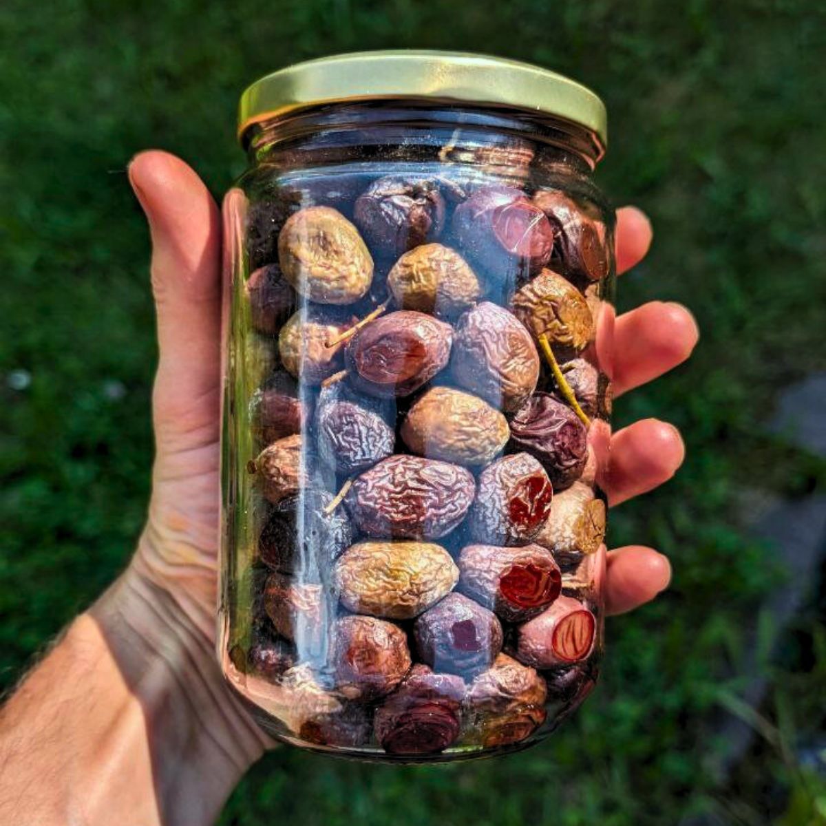 Olives