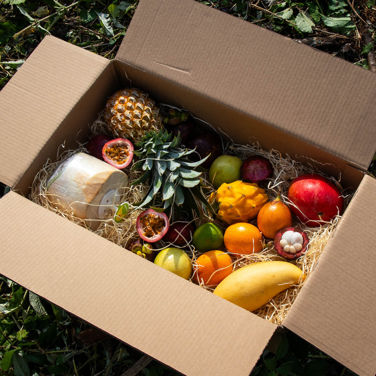 Opération sur les box de fruits exotiques