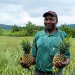African Fruits