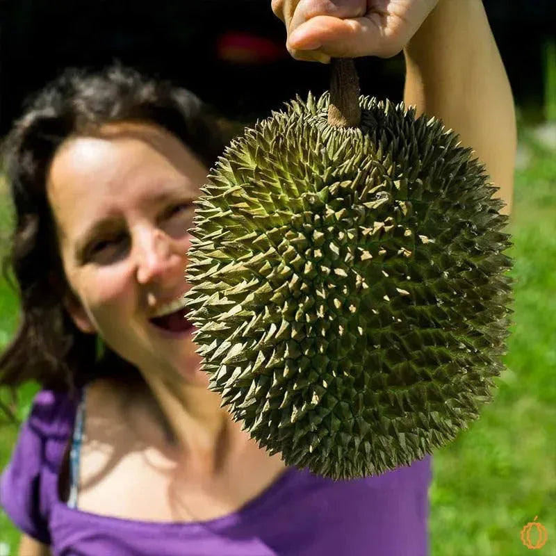 What's new at Jurassic Fruit?