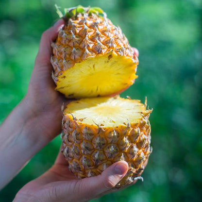 Pineapple Victoria Phuket