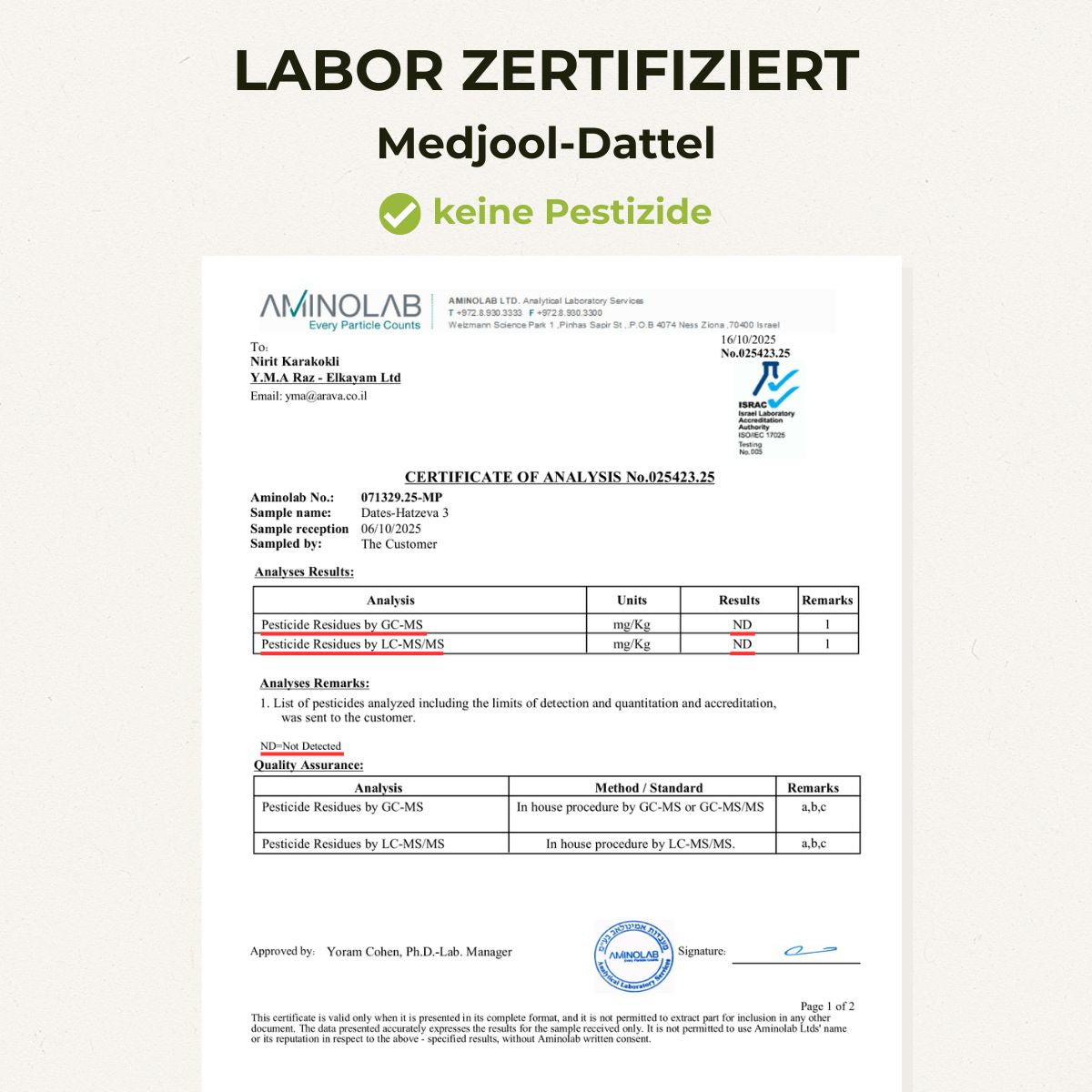 Datte Medjool super fraîche et juteuse