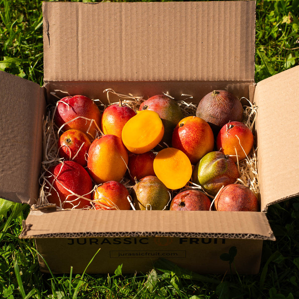 Box Mango mini mix ouverte, mangues variees
