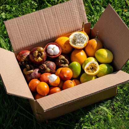 Box 4 kleine exquisite exotische Früchte