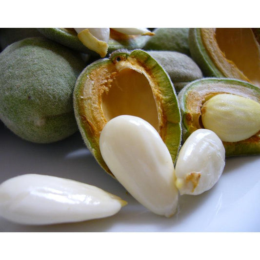 Almond fresh