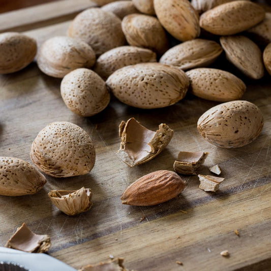 Almond in shell Marcona