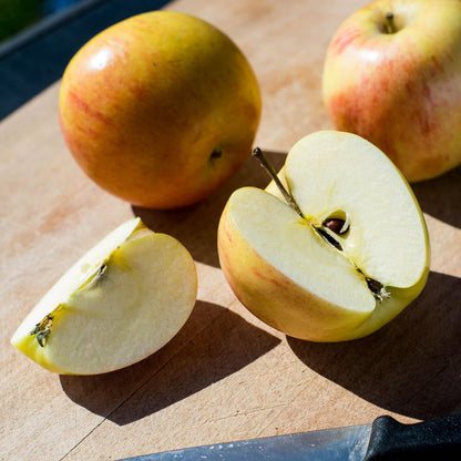 Apfel Gala